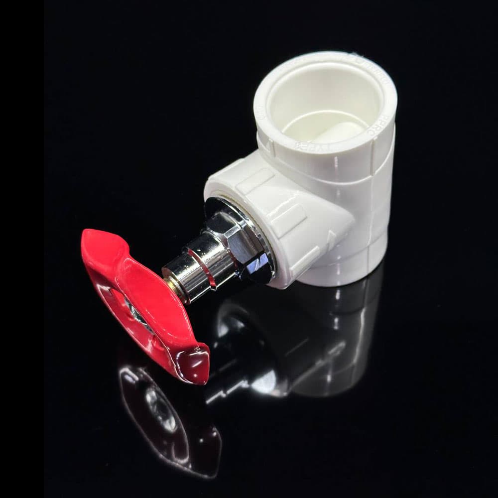 img_01KKA2XT2W0HG2FTRY0CD9MRS4