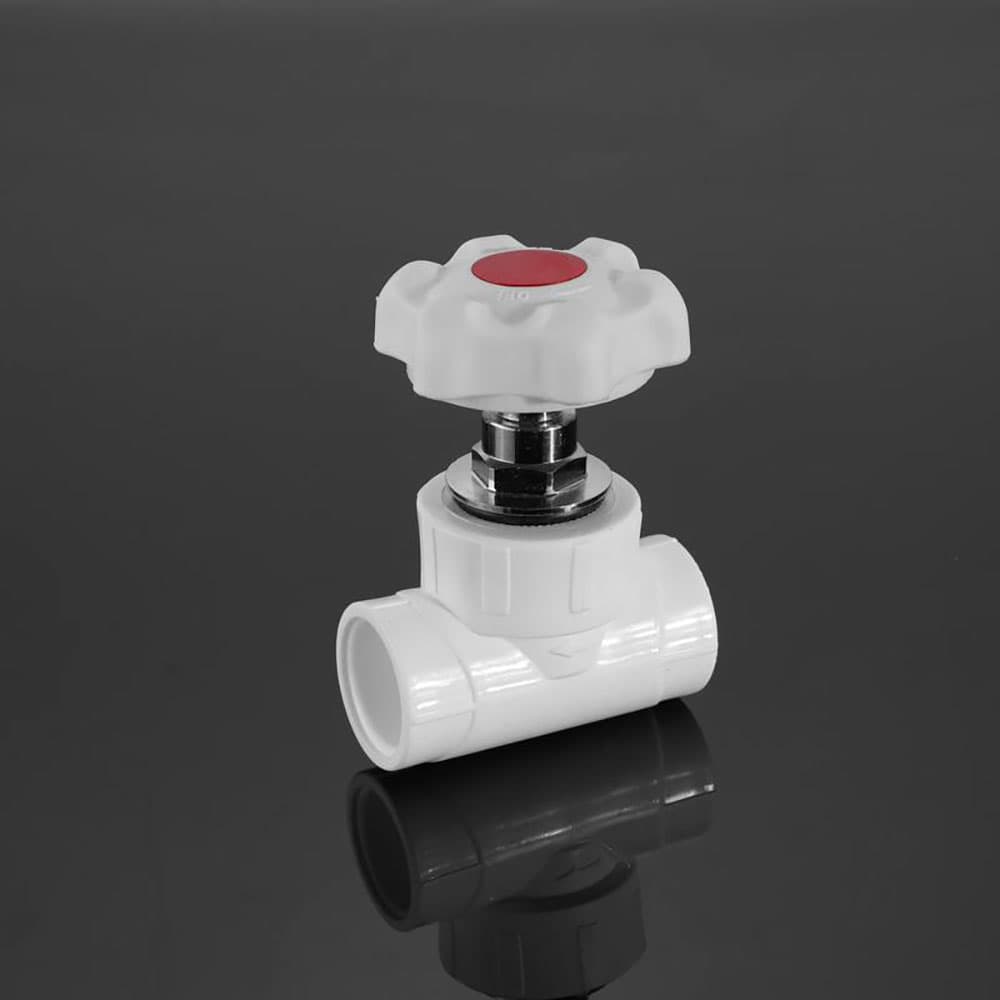 img_01KKA2XT2WVEVXX8M92DH7AKJE