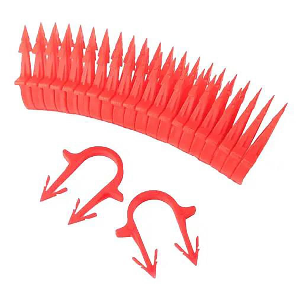 img_01KKA2XT165PAKWGP5RGBCNT6E